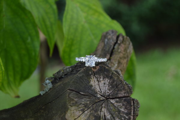 White gold engagement ring with cushion cut diamond and round shared prong diamonds in the shank
